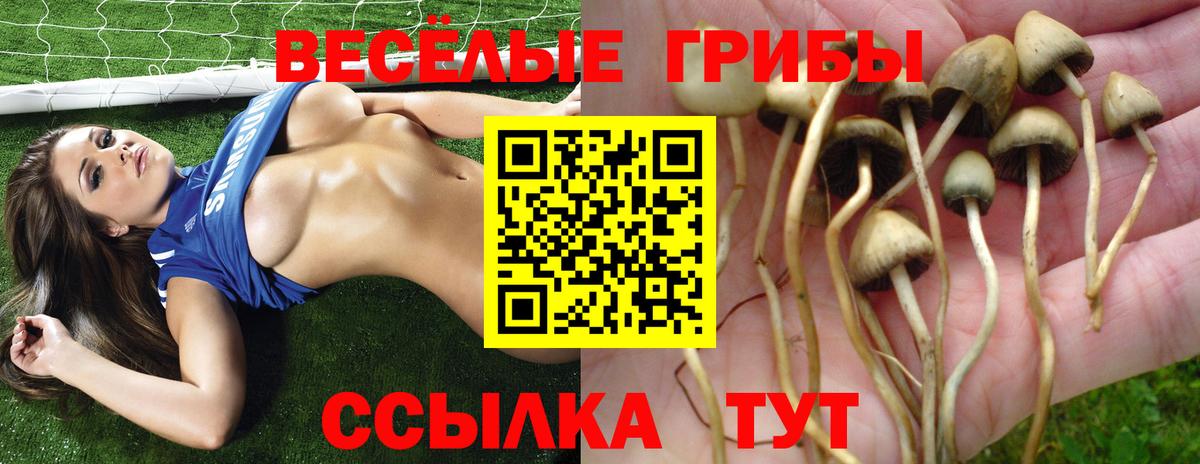 Галлюциногенные грибы мицелий Кохма